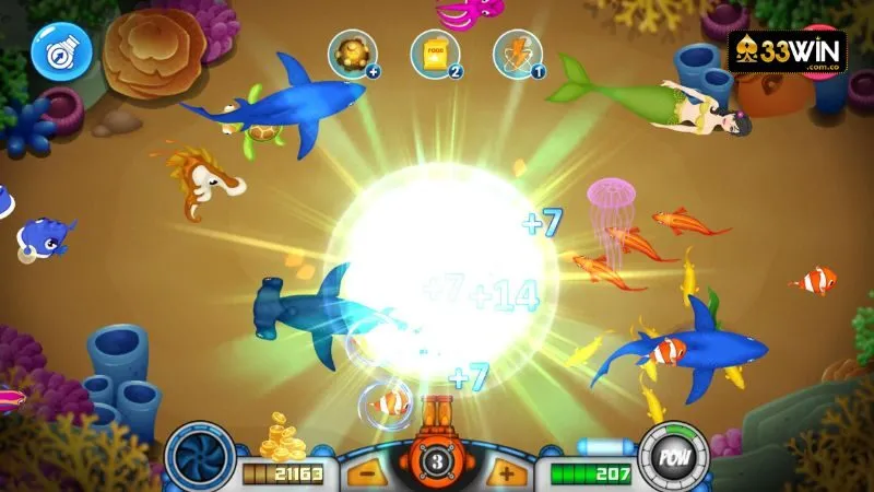 Đa dạng cá, sinh vật biển