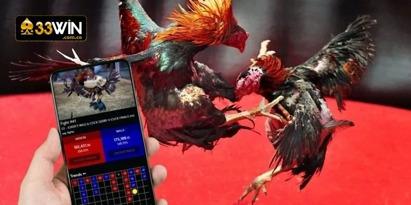 Hệ thống luôn nhận được sự tin tưởng đồng hành của đông đảo cược thủ