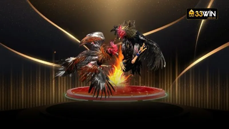 Nhà cái hợp tác mang đến nhiều sảnh chơi chuyên nghiệp