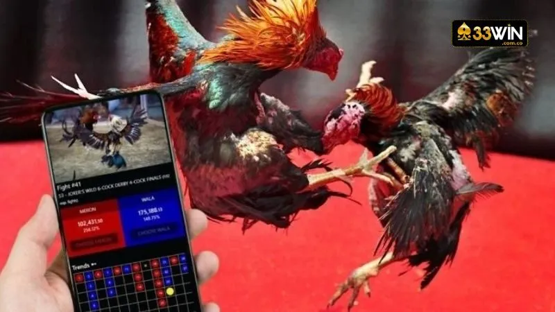 Tham gia Đá Gà siêu dễ dàng